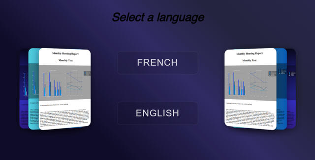 SolveReport Beta Language Menu with 3 cards each side showcasing the reports given by the application, two buttons in the center : french and english languages and, the title on the top.